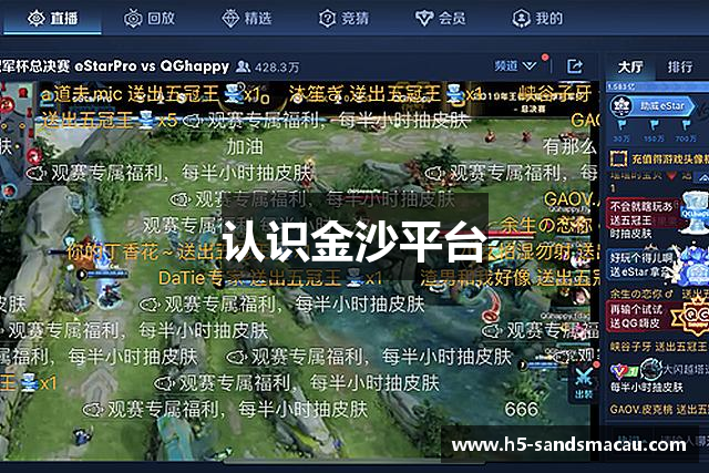 认识金沙平台